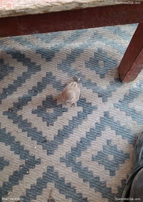 ���� ���� ������. ������� 2021 ����. ������ ������, ���� 51