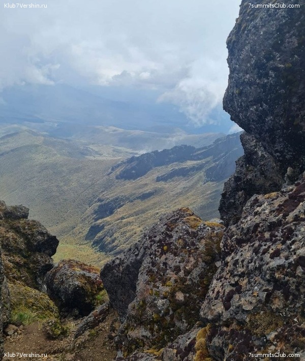 ������� ��������. 2021 ���, ���� 163