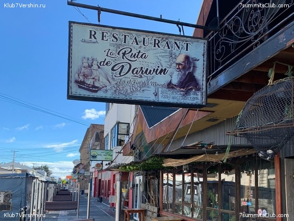 ���������� 2021 - 2022. ������ ������-4, ���� 13