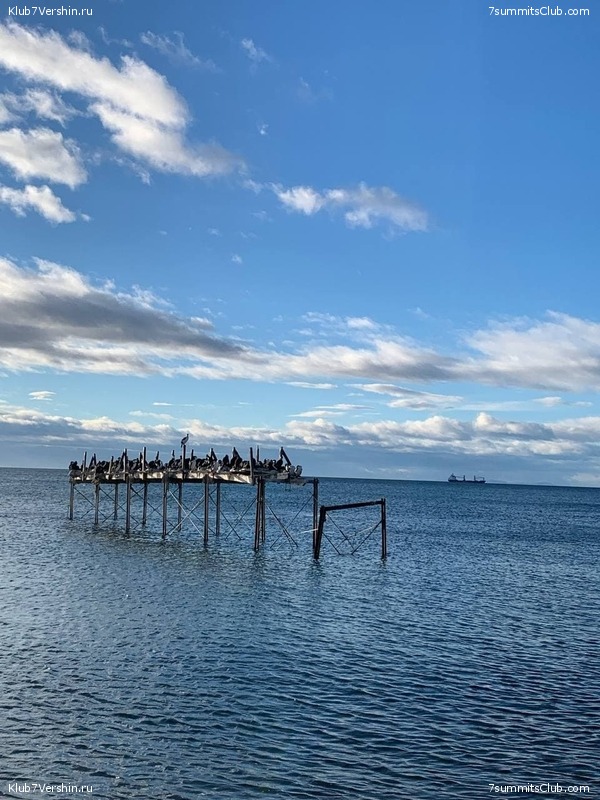 ���������� 2021 - 2022. ������ ������-4, ���� 46