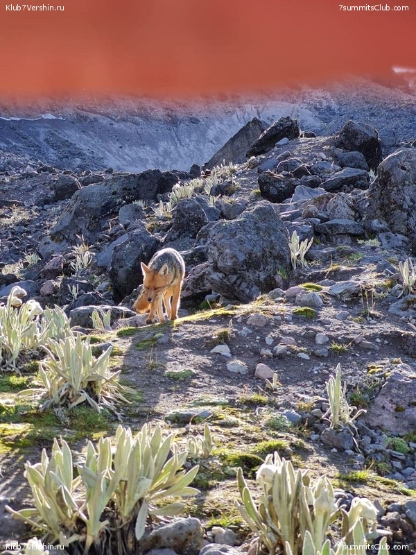 ������� ��������. ������� 2021 ����, ���� 49