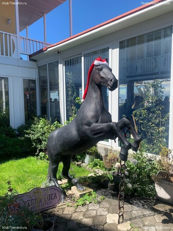 ���������� 2021 - 2022. ������ ������-4, ���� 47