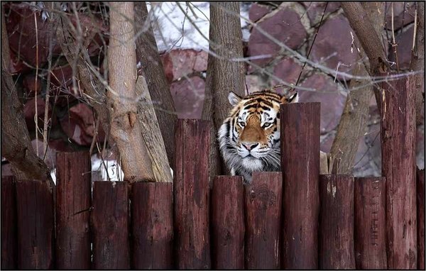 ������. 2021 ���, ���� 20