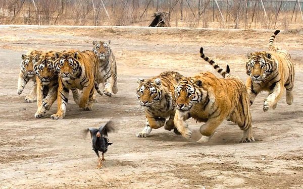 ������. 2021 ���, ���� 19