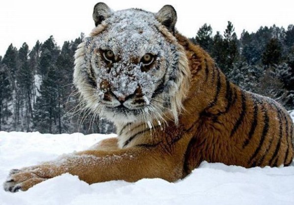 ������. 2021 ���, ���� 34