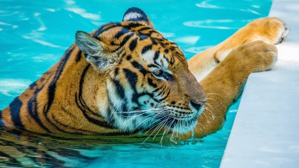 ������. 2021 ���, ���� 10