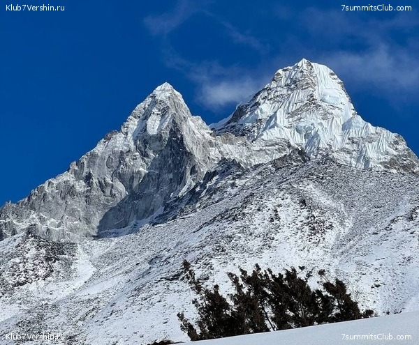 ����� 2021-22. ���� ��. ������ �������, ���� 40