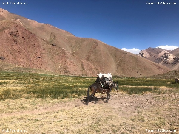 ��������� 2021 - 2022. ������ ������, ���� 39