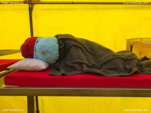 ��������� 2021 - 2022. ������ ������, ���� 42