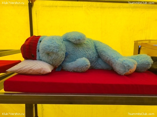 ��������� 2021 - 2022. ������ ������, ���� 46