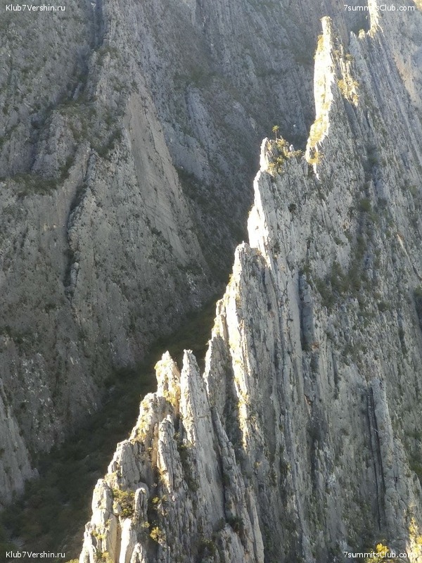 �� ������ �������. ������ 2022 ����. ����� ������, ���� 55