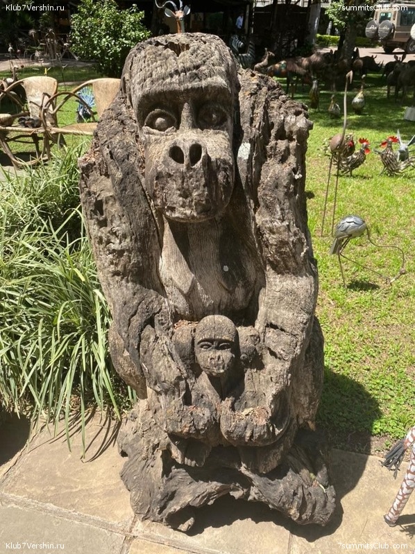 ������������. ������ 2022. ����� �����, ���� 73