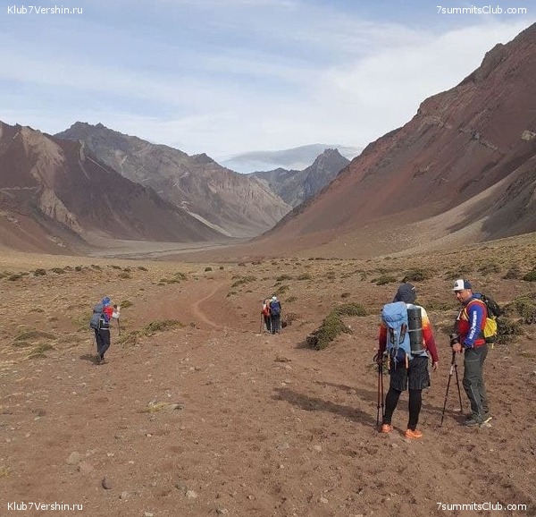 ��������� 2021 - 2022. ������ ������, ���� 19