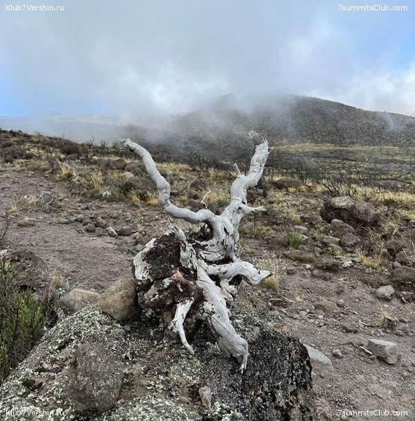 ������������. ������ 2022. ����� �����, ���� 43