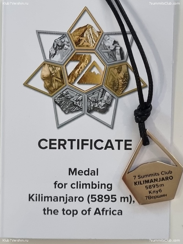 ������������. ������ 2022. ������ �����, ���� 49