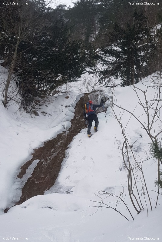 ������ ��������� � �����, ���� 56