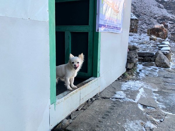 ���� ���, ���� 53