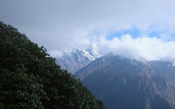 ���� ���, ���� 15