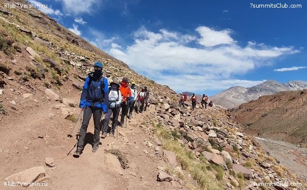 ��������� 2021 - 2022 ������ ������, ���� 11