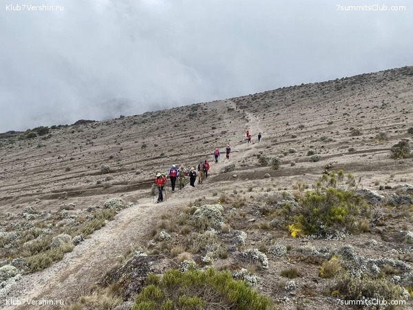 ������������. ������� 2022. �������� ������, ���� 39