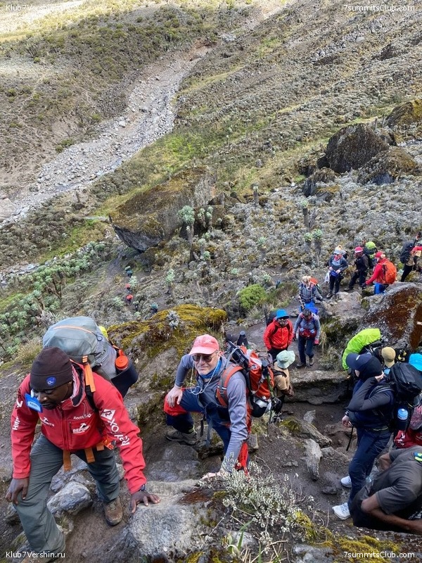 ������������. ������� 2022. �������� ������, ���� 61