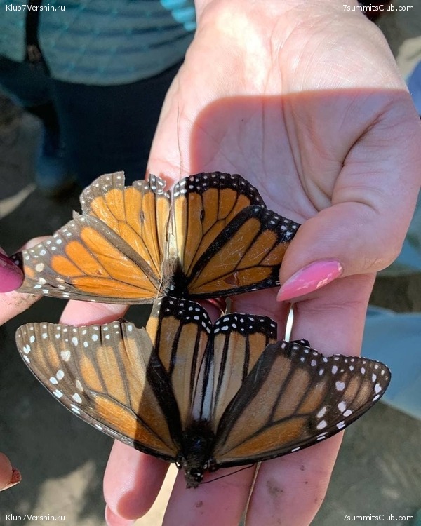 �������. �������. ������� 2022. ������� ���������, ���� 61