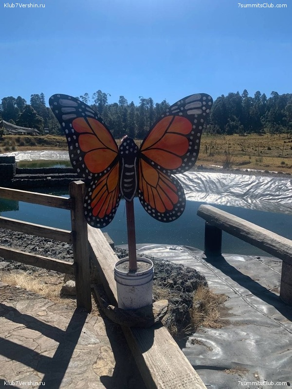 �������. �������. ������� 2022. ������� ���������, ���� 73