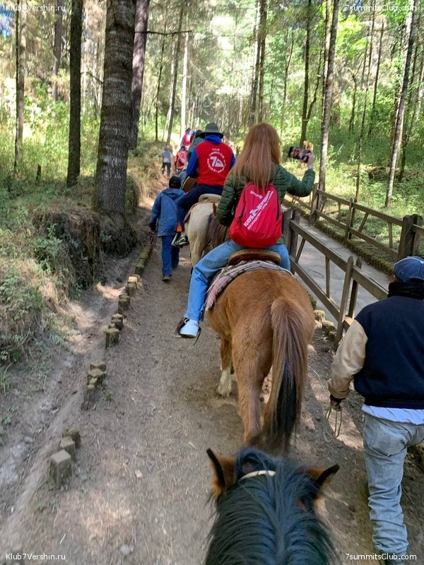 �������. �������. ������� 2022. ������� ���������, ���� 74