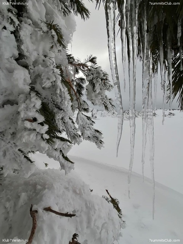 ������ ��������� � �����, ���� 53