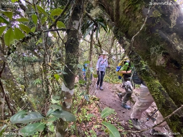 ������������. ������� 2022. 2-� ������ �. ������, ���� 16