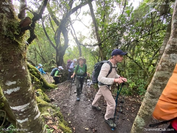 ������������. ������� 2022. 2-� ������ �. ������, ���� 17