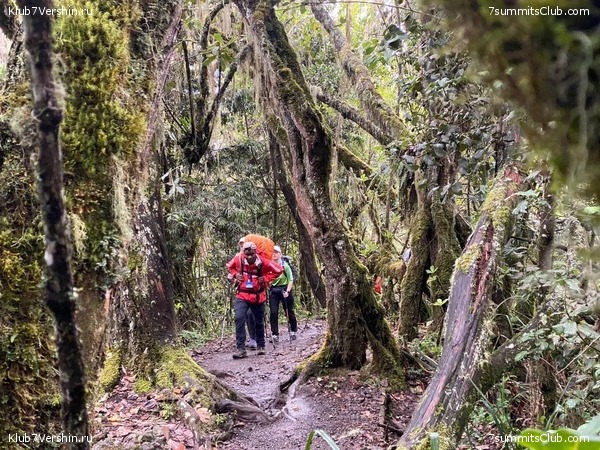 ������������. ������� 2022. 2-� ������ �. ������, ���� 18