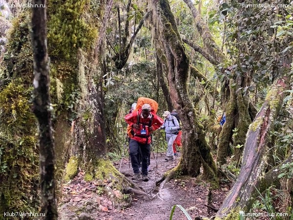 ������������. ������� 2022. 2-� ������ �. ������, ���� 19