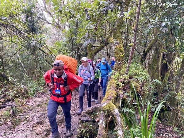 ������������. ������� 2022. 2-� ������ �. ������, ���� 21