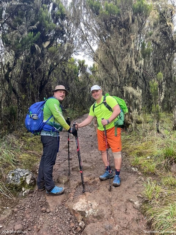 .  2022. 2-  . ,  74