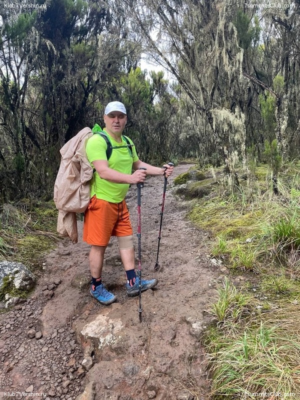 .  2022. 2-  . ,  75