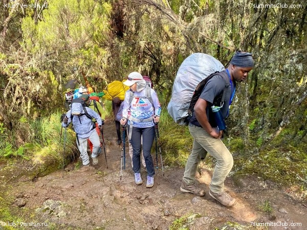 ������������. ������� 2022. 2-� ������ �. ������, ���� 29