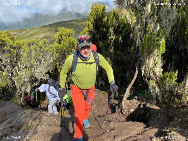 ������������. ������� 2022. 2-� ������ �. ������, ���� 31