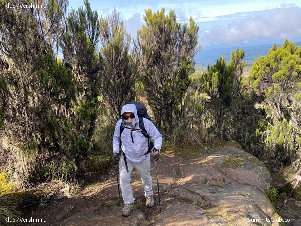 ������������. ������� 2022. 2-� ������ �. ������, ���� 32