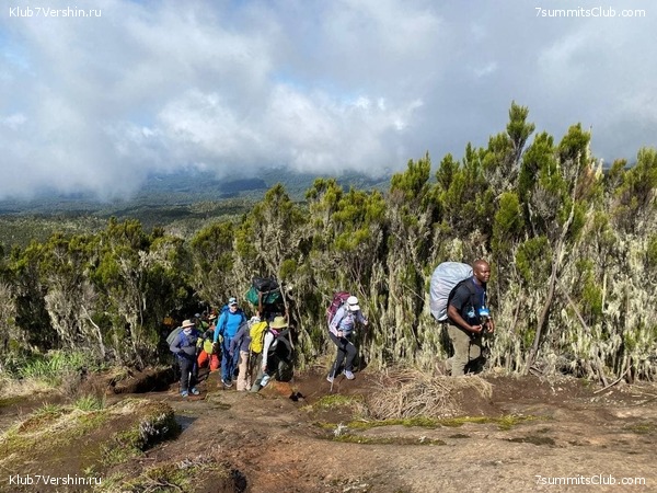 ������������. ������� 2022. 2-� ������ �. ������, ���� 35