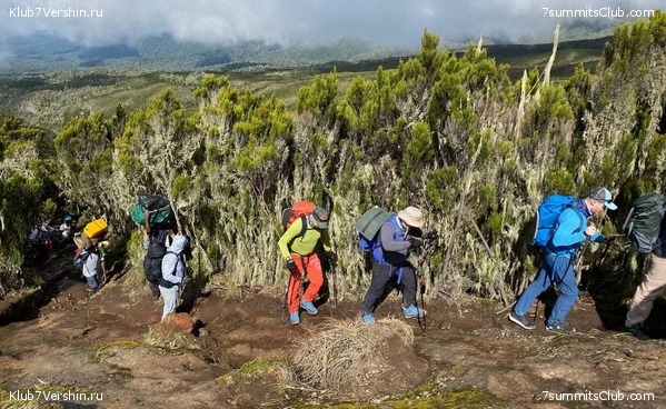 ������������. ������� 2022. 2-� ������ �. ������, ���� 3