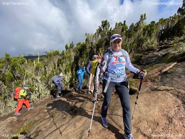 .  2022. 2-  . ,  37