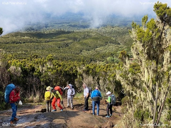 .  2022. 2-  . ,  39