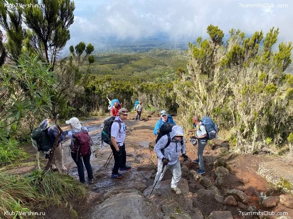 .  2022. 2-  . ,  41