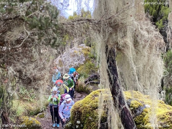 .  2022. 2-  . ,  43