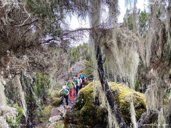 .  2022. 2-  . ,  44