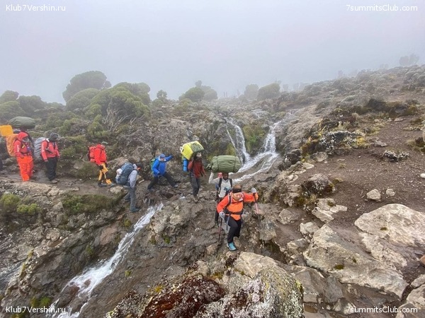 .  2022. 2-  . ,  56