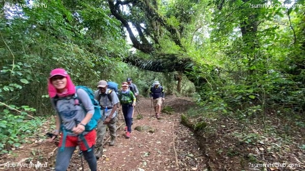 ������������. ���� 2022 �. �������� ������, ���� 1