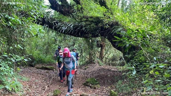 ������������. ���� 2022 �. �������� ������, ���� 2