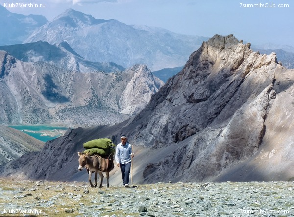 ����, ���� 7